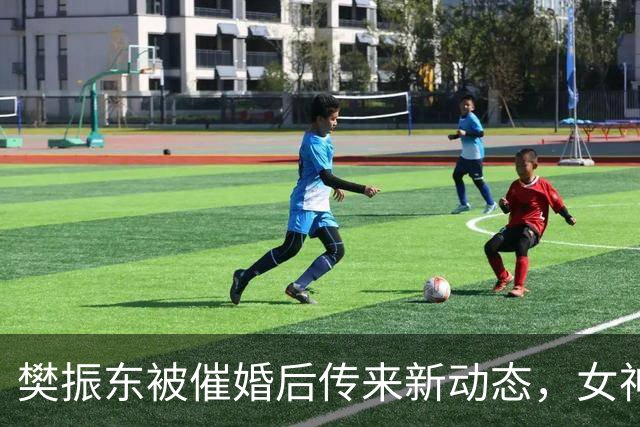 樊振东被催婚后传来新动态，女神身价超20亿美元，难怪拒绝百万带薪假